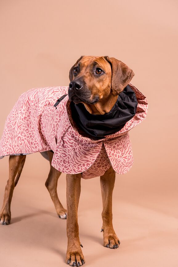 Paikka Visibility Winter Manteau pour Chien, 45 cm, rose