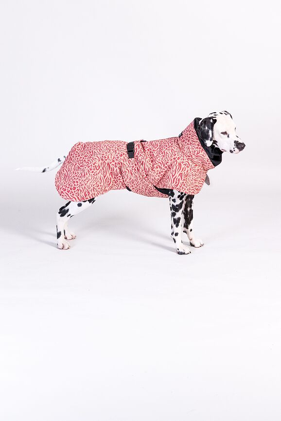 Paikka Visibility Winter Manteau pour Chien, 45 cm, rose