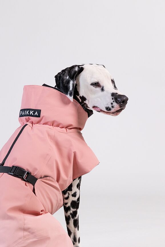 Paikka Visibility Winter Wool Manteau pour chien, 50 cm, rose