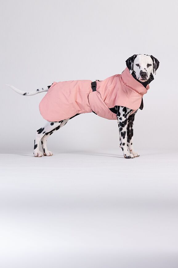 Paikka Visibility Winter Wool Manteau pour chien, 50 cm, rose