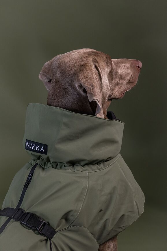 Paikka Visibility Winter Wool Manteau pour chien, 55 cm, vert