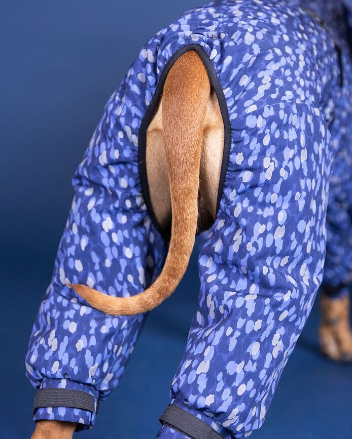 Paikka Winter Manteau pour Chien imperméable, 30 cm, bleu