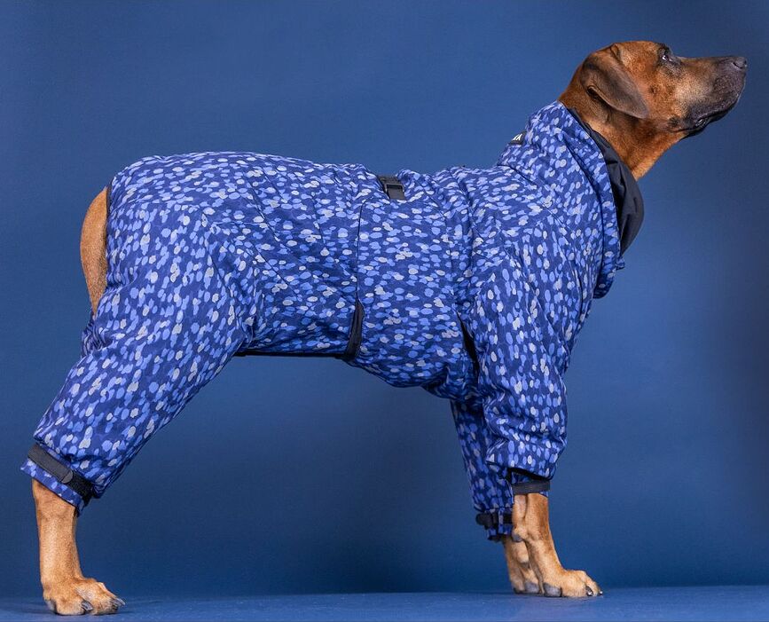 Paikka Winter Manteau pour Chien imperméable, 30 cm, bleu