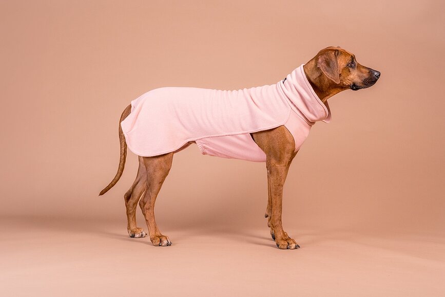 Abrigo para perro de Seawool Paikka, 30 cm, rosa