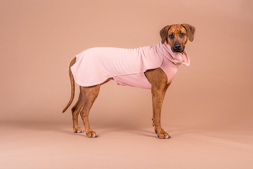 Abrigo para perro de Seawool Paikka, 30 cm, rosa