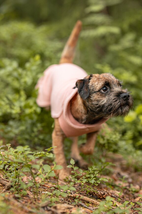 Abrigo para perro de Seawool Paikka, 30 cm, rosa