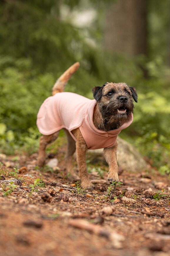 Abrigo para perro de Seawool Paikka, 30 cm, rosa