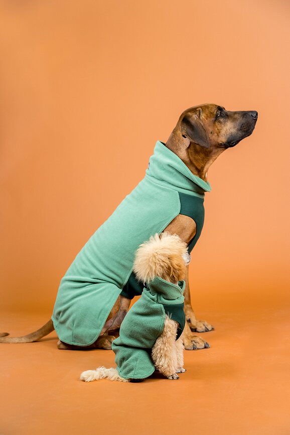 Sudadera para perro de Seawool Paikka, 25 cm, verde