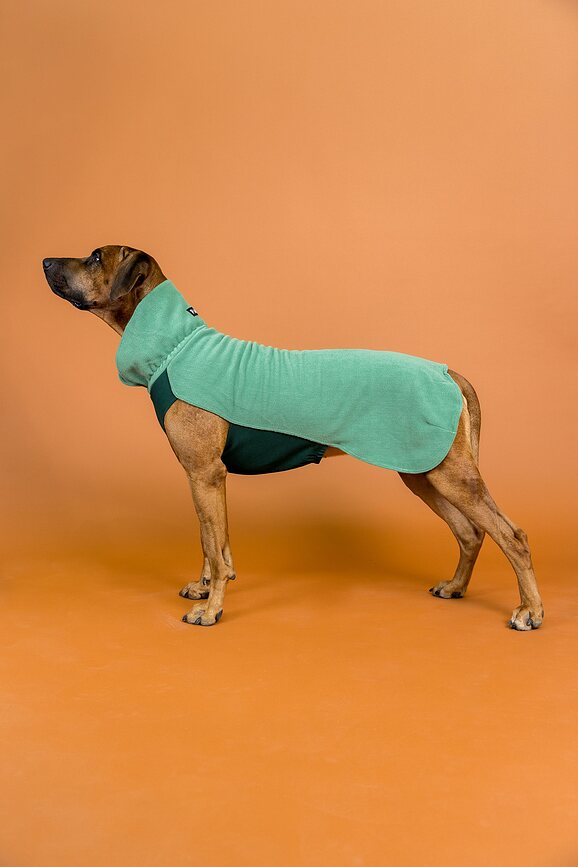 Sudadera para perro de Seawool Paikka, 25 cm, verde