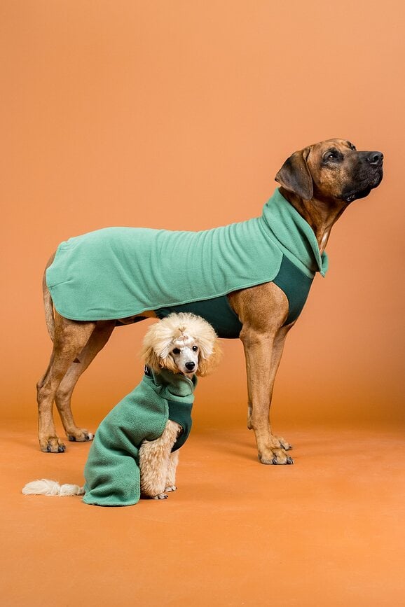 Sudadera para perro de Seawool Paikka, 25 cm, verde
