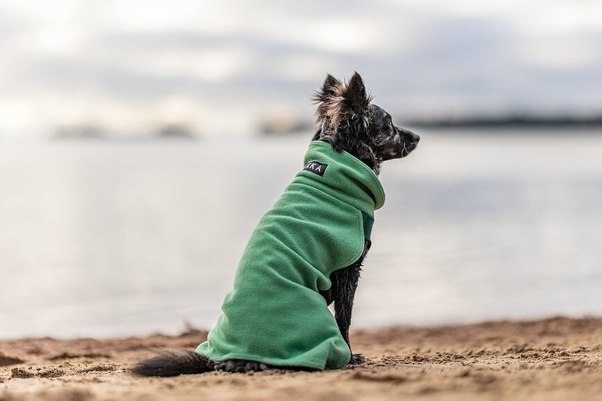 Sudadera para perro de Seawool Paikka, 25 cm, verde