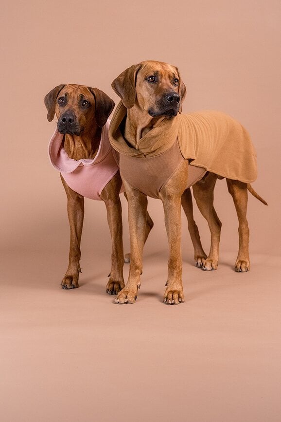 Sudadera para perro de Seawool Paikka, 50 cm, marrón