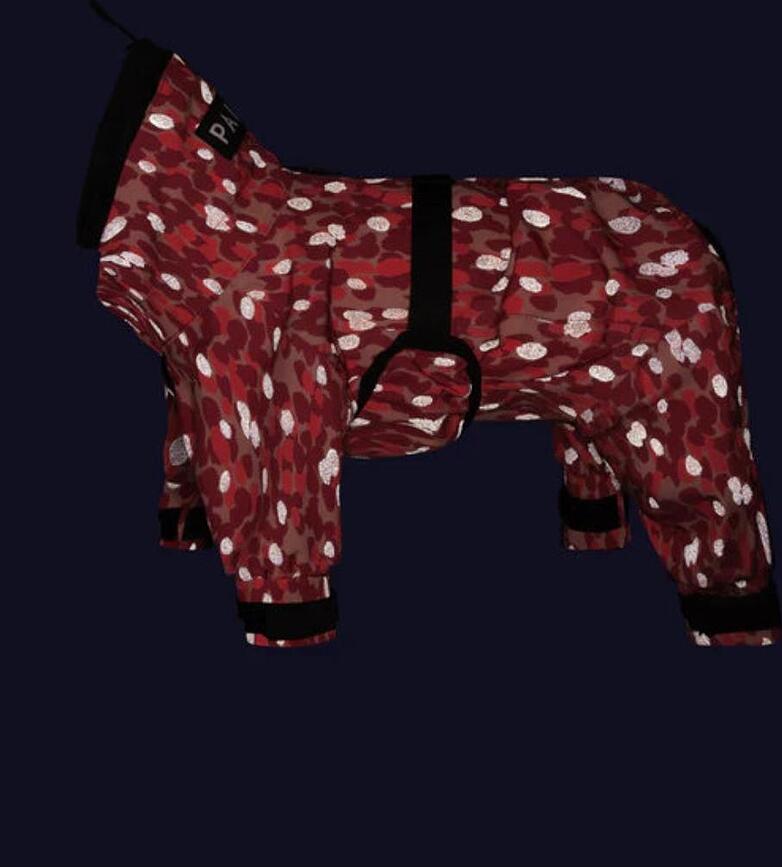Tuta antipioggia per cani Rain Suit a pois, rossa, 70 cm