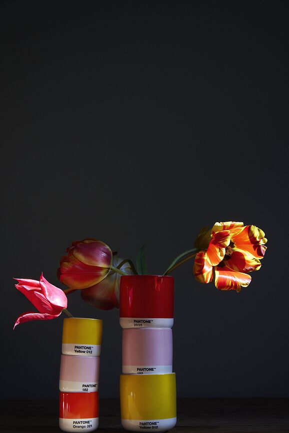 Pantone Κούπες, 100 ml, γήινα χρώματα, 4 τμχ