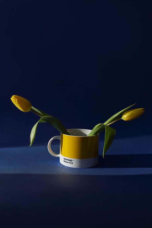 Pantone Mug 475 ml, bleu clair