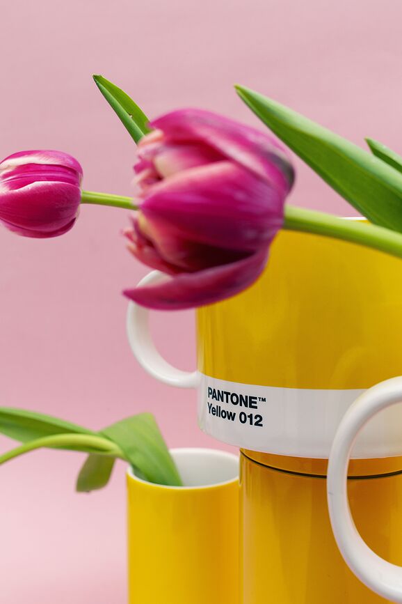 Pantone Šalica 475 ml kobaltna