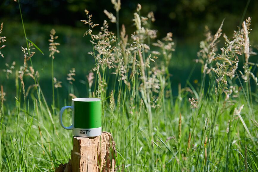 Pantone Skodelica, 385 ml, kobaltna