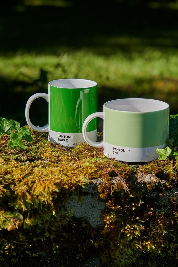 Pantone Skodelica za čaj, 475 ml, temno rjava