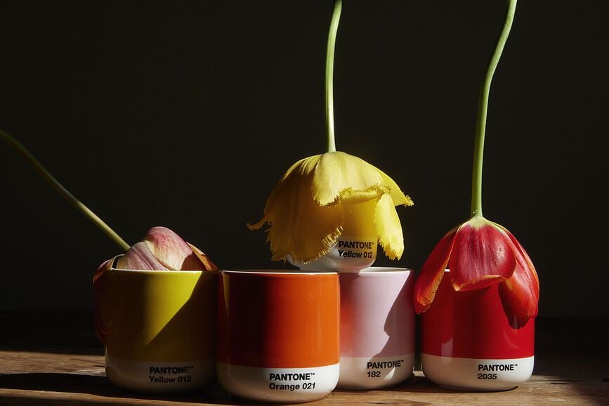 Pantone Skodelice, 100 ml, zemeljski odtenki, 4 kosi