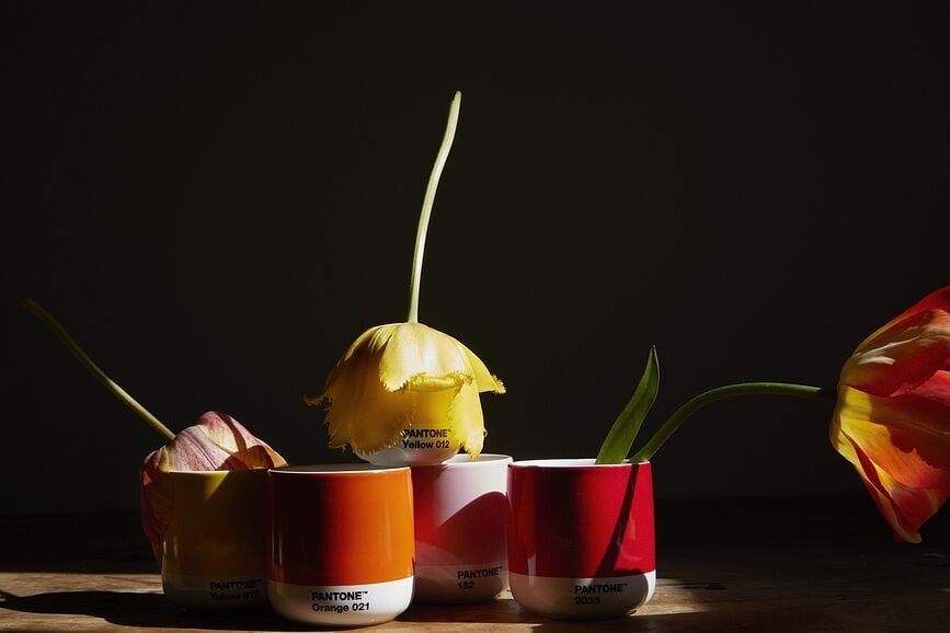 Pantone Tasse 100 ml, noire