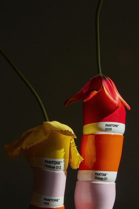 Pantone Tasses 100 ml, tons terreux, Lot de 4