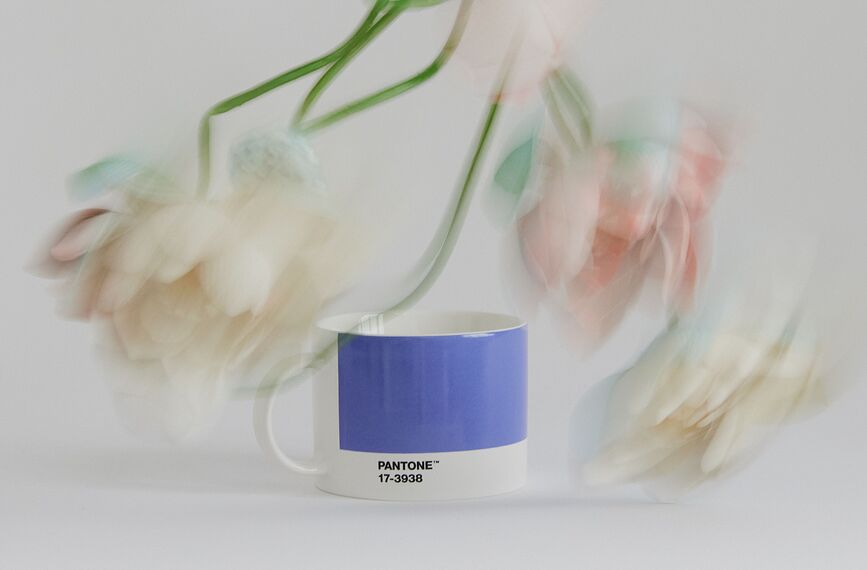 Taza Pantone 475 ml, marrón oscuro