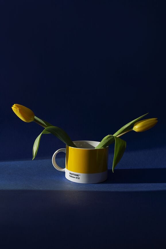 Taza Pantone 475 ml, marrón oscuro