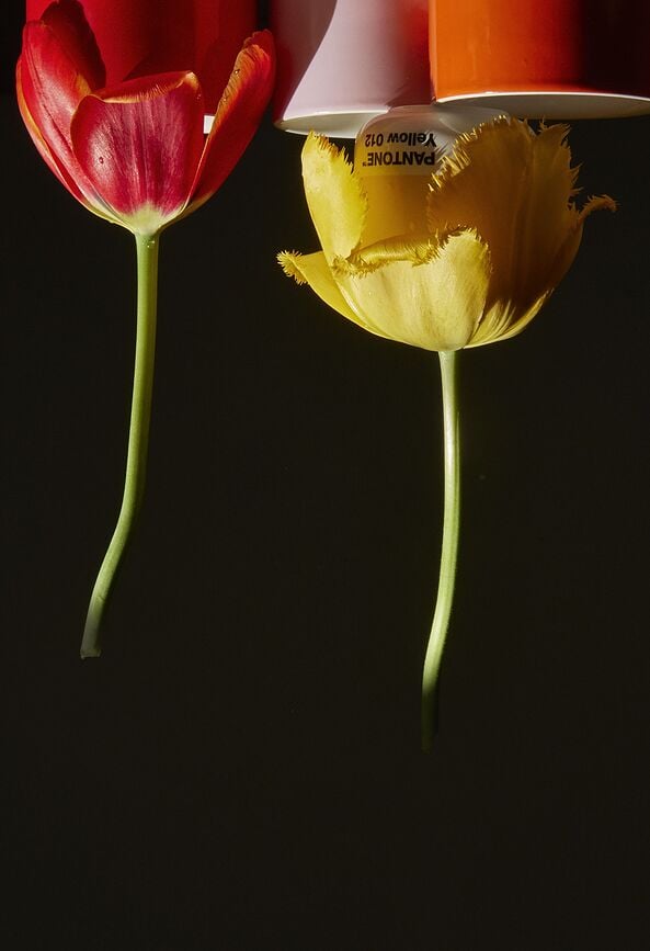 Taza Térmica Pantone, 220 ml, rojo