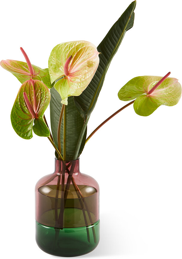 Formy vas i glas 47 cm, grön-rosa