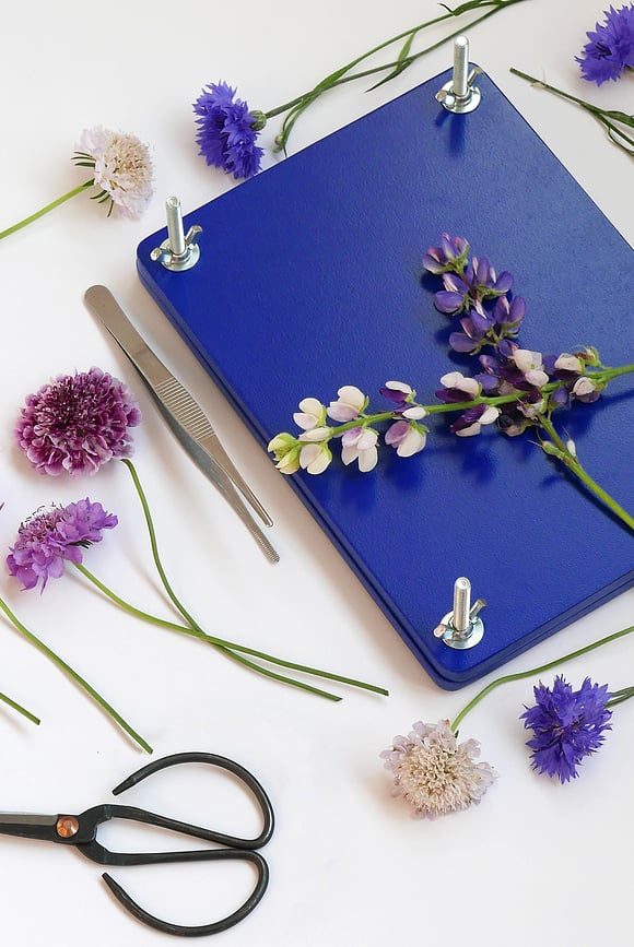 Kit para prensar flores Printworks, en caja de regalo, Set de 9 piezas