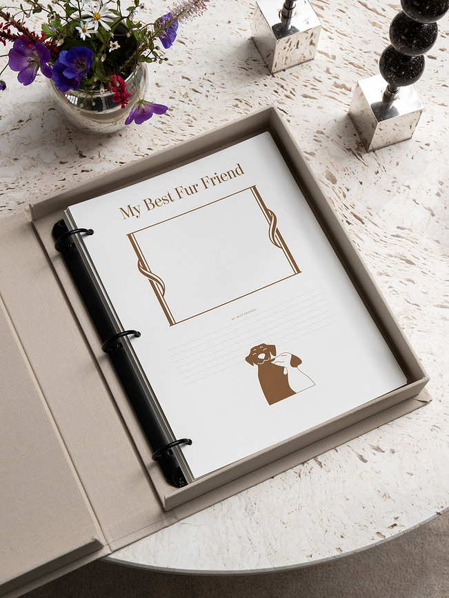 Printworks A Dog's Life Feuilles de Recharge pour Album Photo, grandes, Lot de 10