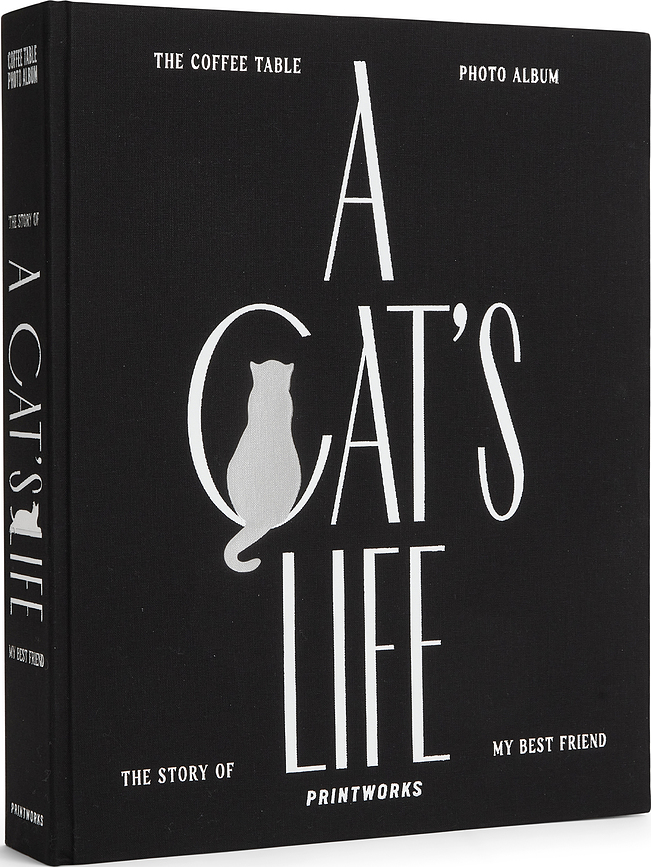 Printworks Άλμπουμ Φωτογραφιών A Cat's Life, μεγάλο