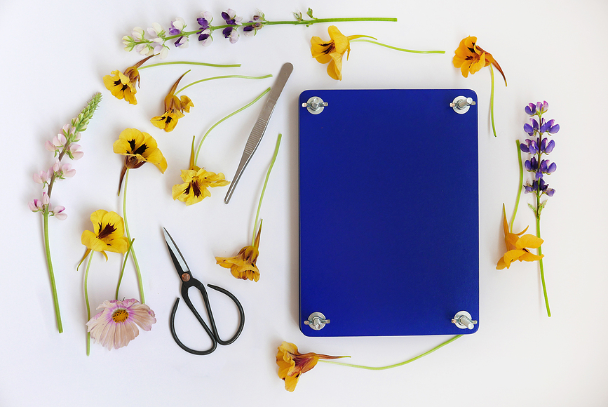 Printworks Kit de Presse à Fleurs, coffret cadeau, Set 9 pièces