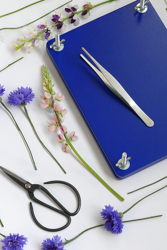 Printworks Kit de Presse à Fleurs, coffret cadeau, Set 9 pièces