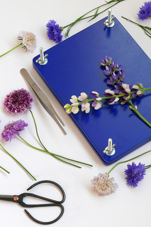 Printworks Kit de Presse à Fleurs, coffret cadeau, Set 9 pièces