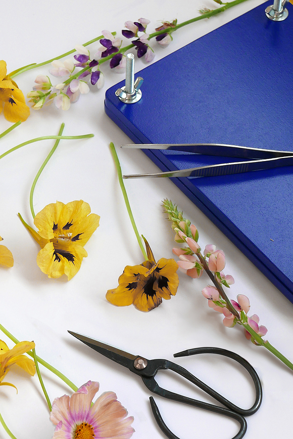 Printworks Set za prešanje cvijeća u poklon kutiji 9 dijelova