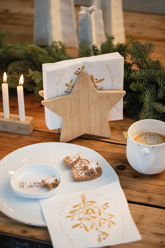 Raeder Χαρτοπετσετοθήκη, σχέδιο αστέρι