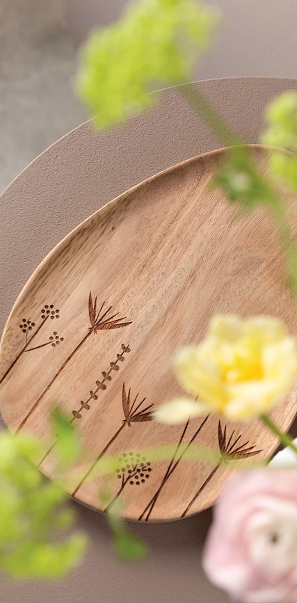 Spring Plateau de service