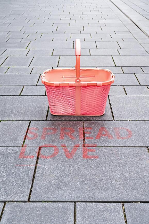 Carrybag Frame Mesh Panier, citron