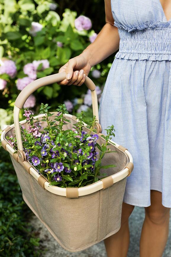 Carrybag Panier, à pois