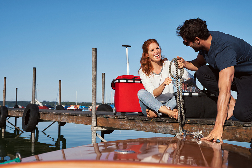 Carrycruiser Twist Silver Panier à Roulettes