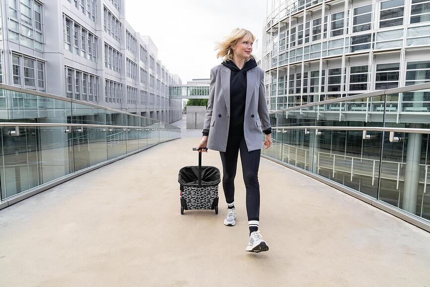 Carrycruiser Twist Silver Panier à Roulettes