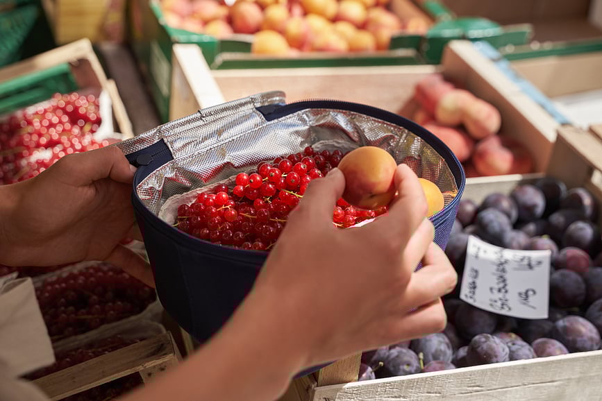 Coolerbag Pocket Twist Rashladna Torba veličina S siva
