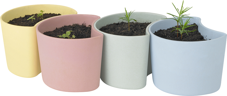 Kit de cultivo Your Tree, con semillas de abedul, rosa