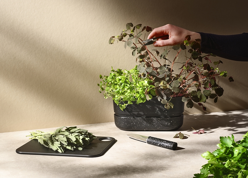 Pot-It Lonček za zelišča