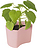 Your Tree Blumentopf rosa mit Birkensamen