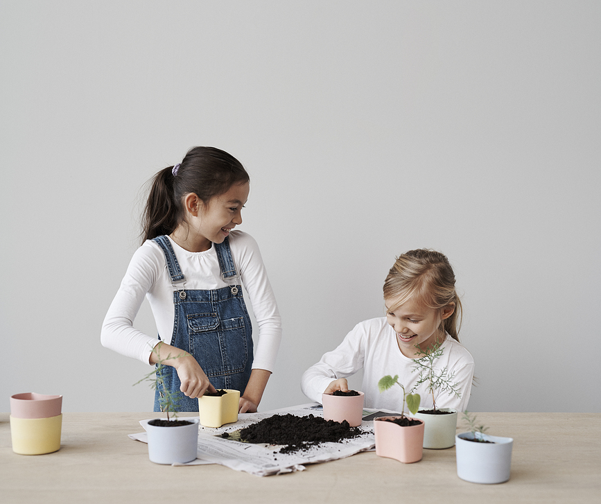 Your Tree Kit de plantation avec graines de bouleau, rose