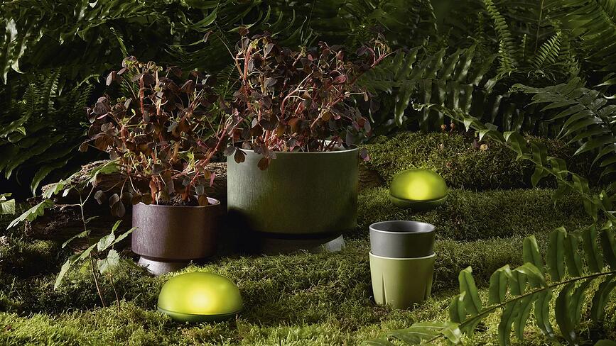 Macetero Rosendahl, 19 cm, verde oscuro