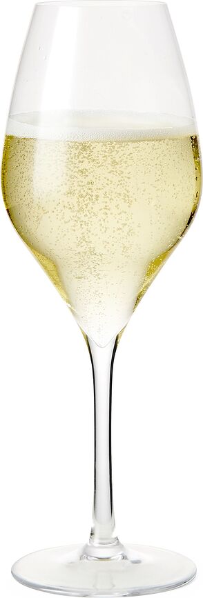 Premium Glass Flûtes à Champagne 370 ml, Lot de 2