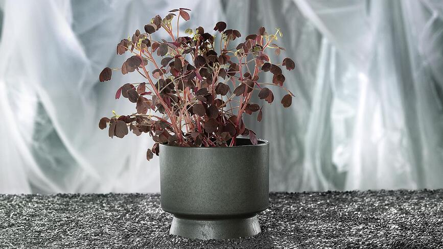 Rosendahl Posuda za cvijeće 19 cm tamnozelena